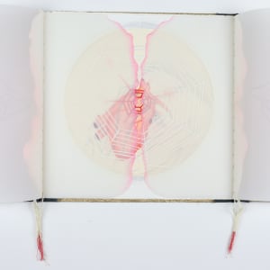 The Apocalyptic Ballet of Nations by Audra Skuodas 