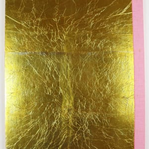 Vibration Sequence -- Equasions by Audra Skuodas  Image: Back cover