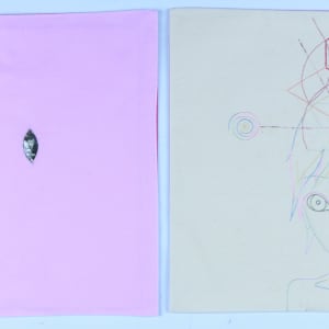 Self Portrait of a Displaced Amnesiac Alien by Audra Skuodas 