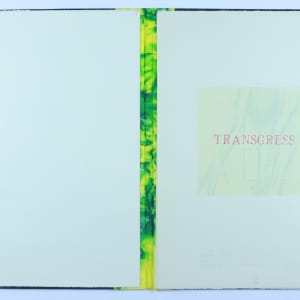 The Definition is not God . .  machine time.  Dream time. . . . by Audra Skuodas  Image: Transgress