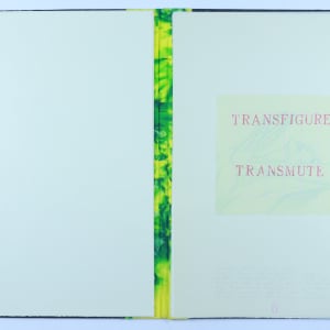 The Definition is not God . .  machine time.  Dream time. . . . by Audra Skuodas  Image: Transfigure
Transmute