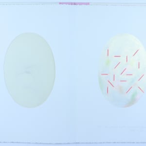 Immutable Essences by Audra Skuodas  Image: Matter -- the garb and crucible of renifing and definition. . gross or fine. . . 
5