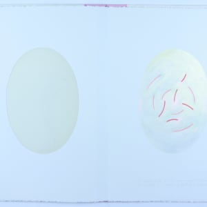 Immutable Essences by Audra Skuodas  Image: The world is the invisible made manifest by the visible. . 
The qualities to be gauged by effects to be interpreted. . . 
6