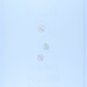 Spirit = inner necessity of Life to define itself -- where is it's point of Origin. . . by Audra Skuodas 