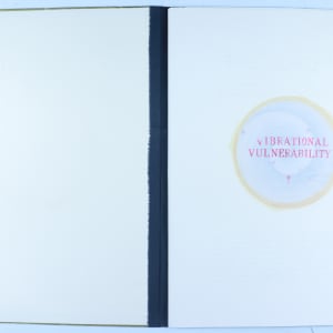 Vibrational Vulnerability ? by Audra Skuodas 