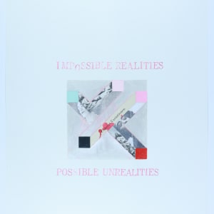 Impossible Realities/Possible Unrealities by Audra Skuodas
