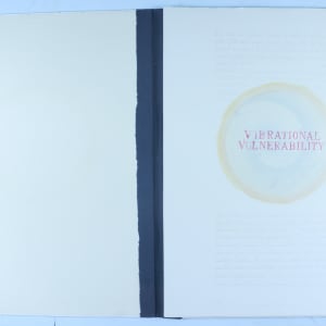 Vibrational Vulnerability by Audra Skuodas 