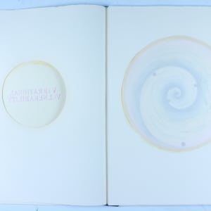 Vibrational Vulnerability by Audra Skuodas 