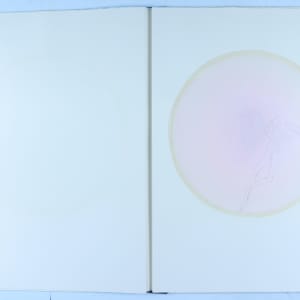 Vibrational Vulnerability by Audra Skuodas 