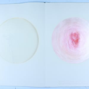 Vibrational Vulnerability by Audra Skuodas 