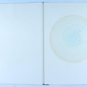 Vibrational Vulnerability by Audra Skuodas 