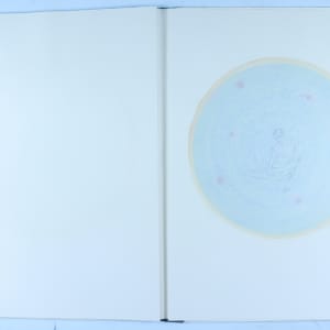 Vibrational Vulnerability by Audra Skuodas 