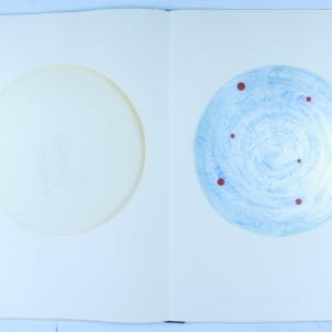 Vibrational Vulnerability by Audra Skuodas 
