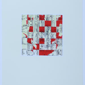 Re-Constituting Fragments by Audra Skuodas 