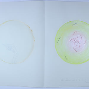 The Sacred Place by Audra Skuodas  Image: The umbilical cord to the Sacred Severed. . . 2