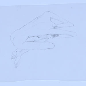 Selection of hand drawn figures photocopied on vellum by Audra Skuodas 
