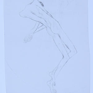 Selection of hand drawn figures photocopied on vellum by Audra Skuodas 