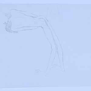 Selection of hand drawn figures photocopied on vellum by Audra Skuodas 