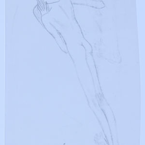 Selection of hand drawn figures photocopied on vellum by Audra Skuodas 