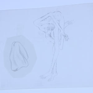 Selection of hand drawn figures photocopied on vellum by Audra Skuodas  Image: Includes a graphite pencil hand drawn figure in fetal positon
