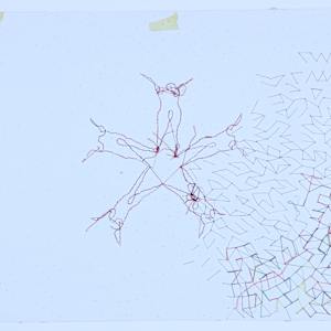 Untitled by Audra Skuodas  Image: back