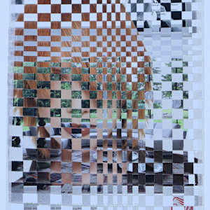 Untitled by Audra Skuodas  Image: back