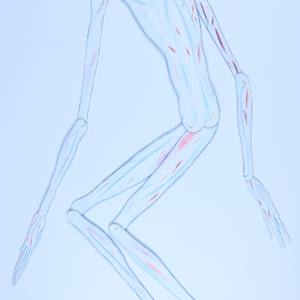 Untitled by Audra Skuodas 