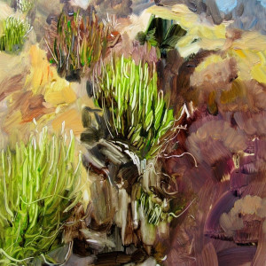 Euphorbia by Gillian Hughes