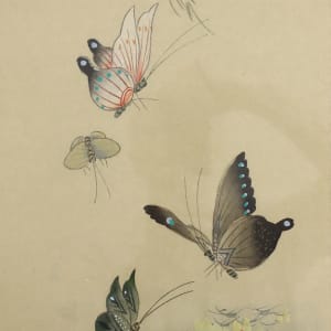 Butterflies by - Qiuzhe 