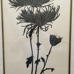 Chrysanthamum by Henry E