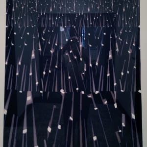 Leonids by Suzanne Caporeal