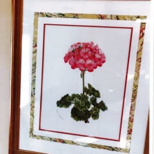 (1) Achievement (2) Prince Camille de Rohan Rhododendrum  (3) Rhododendrum Maddeni (4) Pink carnation 