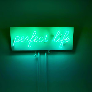 Perfect Life by Maggie Meiners