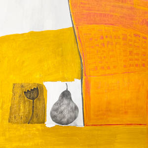 The Sunday Crossword by Robin Kerr  Image: Detail