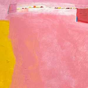 Mismatched Socks by Robin Kerr, Image 9.