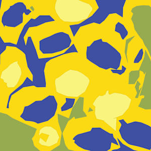 Lemoni by Anna Woerman