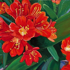 My Garden: Bush Lily by Susan Butterfly-Ebert