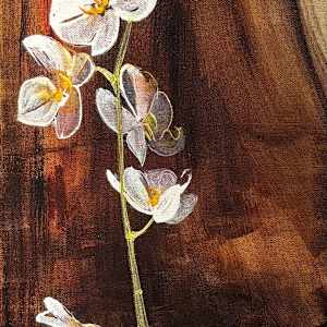 Orchid by Tina Christiansen