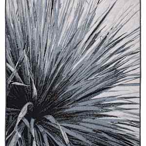 Jubilation by Kathleen McCabe