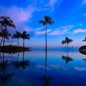 Morning Palms by Derek Emge