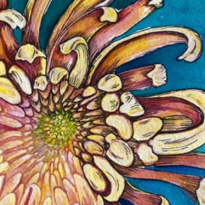 Spectacular Flower by Cathy Surgeoner Deibler