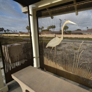 Patience by Schmidt Design Group, Inc.  Image: Great Blue Heron