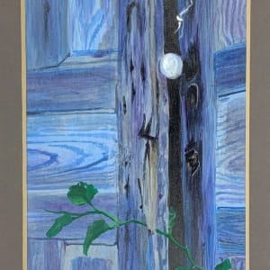 the Blue Door by Debi Davis