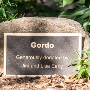 Gordo 