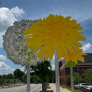 Vista Dandelions by Carin Mincemoyer 