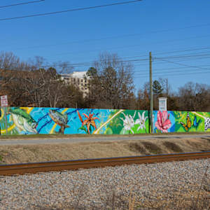 Saluda in Bloom by Austin "Slim" Reagan, Image 6.