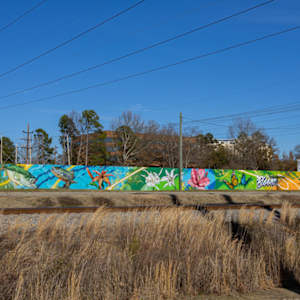 Saluda in Bloom by Austin "Slim" Reagan, Image 5.