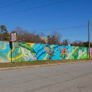 Saluda in Bloom by Austin "Slim" Reagan, Image 3.
