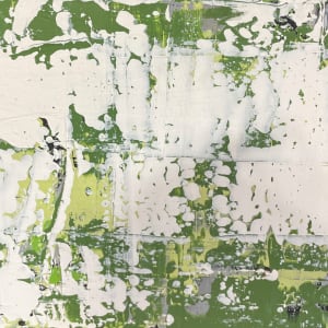 Moss on rocks #3 by Lisa Sweo Eul