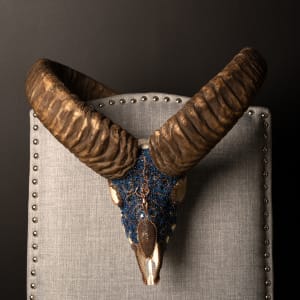Mouflon by Kelly Nygard
